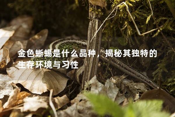 金色蜥蜴是什么品種，揭秘其獨(dú)特的生存環(huán)境與習(xí)性